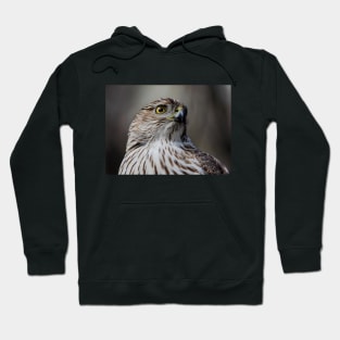 Coopers Hawk Hoodie